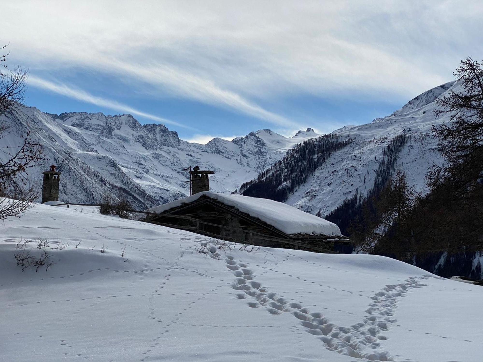 Hotel Belvedere Cogne Eksteriør billede